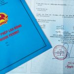 Làm giấy phép lao động trọn gói tại Tiền Giang – 1900 6574
