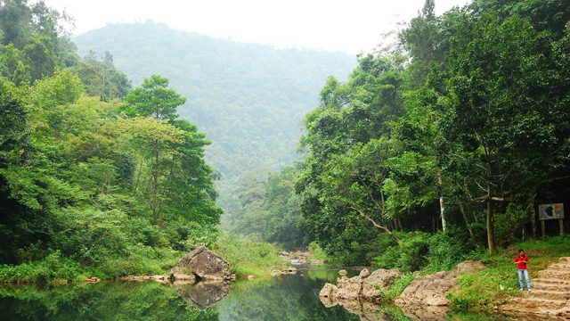 Tòa án nhân dân huyện Yên Dũng, Bắc Giang – Luật 24H