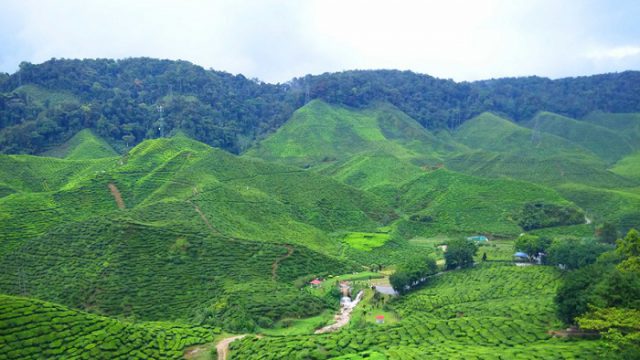 Tòa án nhân dân huyện Lạng Giang, Bắc Giang – Luật 24H