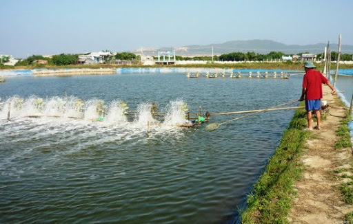 Điều kiện cấp sổ đỏ và chuyển mục đích sử dụng đất ao mới nhất – LUẬT 24H