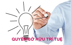 Quy định về quyền sở hữu trí tuệ