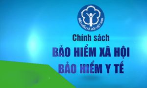 Tư vấn pháp luật bảo hiểm tại Thanh hóa?