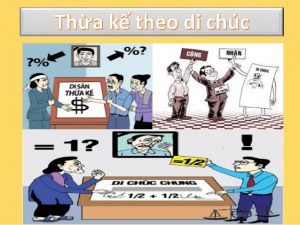 Chia thừa kế theo di chúc được chia như thế nào