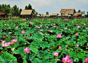  Văn phòng luật sư giỏi tại tỉnh Đồng Tháp