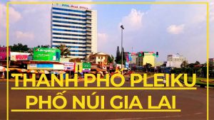 Văn phòng luật sư giỏi Pleiku - Văn phòng luật sư giỏi tại Pleiku, Gia Lai