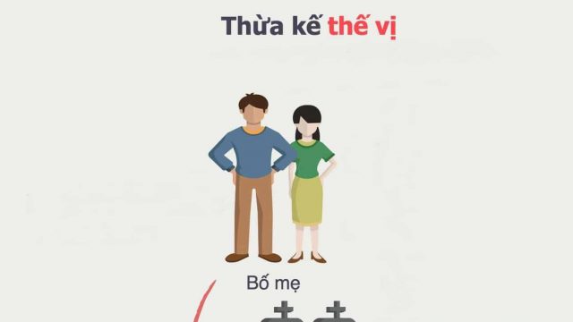 Thừa kế thế vị là gì quy định về thừa kế thế vị?- luật 24h