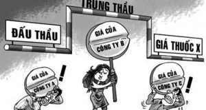 Chi phí trong quá trình lựa chọn nhà thầu - Luật 24