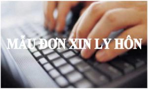 mẫu đơn ly hôn thuận tình tại huyện phước long