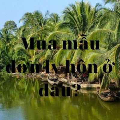 Mẫu đơn ly hôn đơn phương mới nhất của tòa án huyện Ba Tri