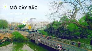 giải quyết ly hôn tại huyện Mỏ Cày Bắc