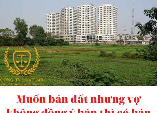 Muốn bán đất nhưng vợ không đồng ý bán thì có bán được không? – luật 24h