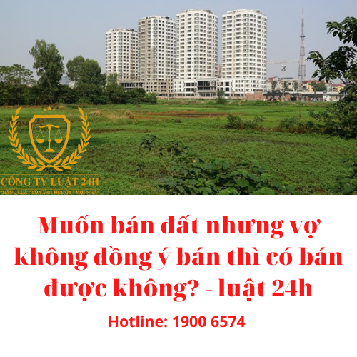 Muốn bán đất nhưng vợ không đồng ý bán thì có bán được không? - luật 24h