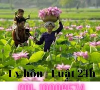 Luật sư tư vấn ly hôn giỏi, uy tín tại tỉnh Đồng Tháp – Luật 24h