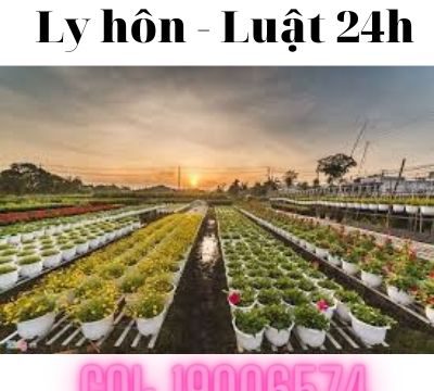 Giải quyết ly hôn tại Thành phố Sa Đéc – Luật 24h