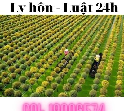 Dịch vụ giải quyết ly hôn nhanh tại Thành phố Sa Đéc – Luật 24h