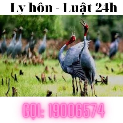 Giải quyết ly hôn trọn gói tại Thị xã Hồng Ngự