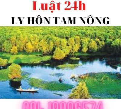 Giải quyết ly hôn tại huyện Tam Nông – Luật 24h