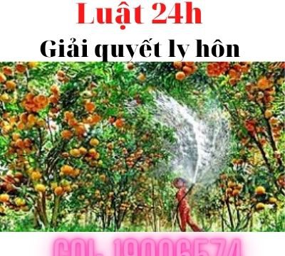 Dịch vụ giải quyết ly hôn nhanh tại huyện Lai Vung