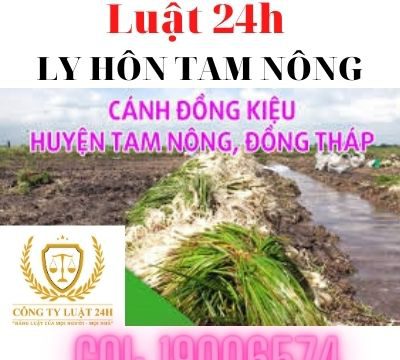 Dịch vụ giải quyết ly hôn nhanh tại huyện Tam Nông – Luật 24h