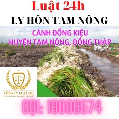 Văn phòng luật sư tư vấn ly hôn tại huyện Tam Nông