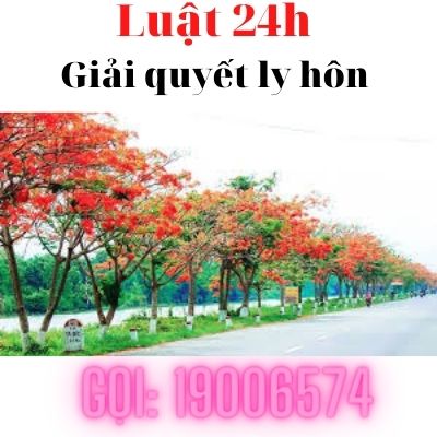 Giải quyết ly hôn trọn gói tại huyện Lấp Vò