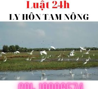 Văn phòng luật sư tư vấn ly hôn tại huyện Tam Nông – Luật 24h