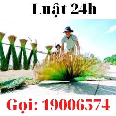 Công ty luật tư vấn giải quyết ly hôn tại huyện Giang Thành