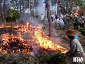 Truy cứu trách nhiệm hình sự hành vi đốt rừng làm nương