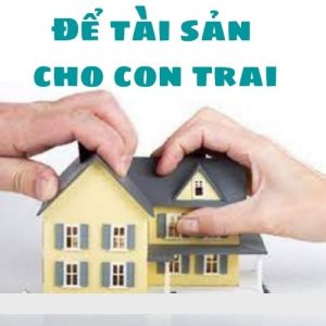 Làm thế nào để cho riêng con trai tài sản?