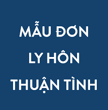 Bán mẫu đơn ly hôn tại huyện Triệu Sơn