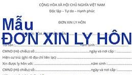 Bán mẫu đơn ly hôn tại huyện Cẩm Thủy