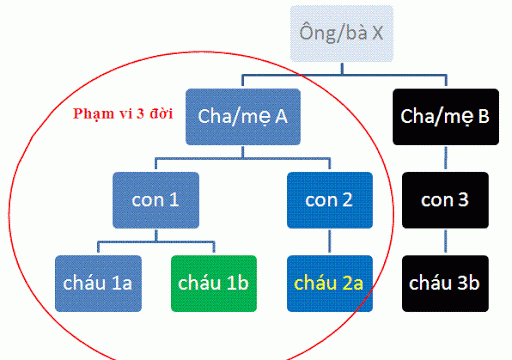 Cách xác định phạm vi ba đời khi đăng ký kết hôn như thế nào?