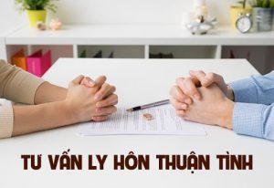 Mẫu đơn ly hôn thuận tình mới nhất tòa án nhân dân Bình Định