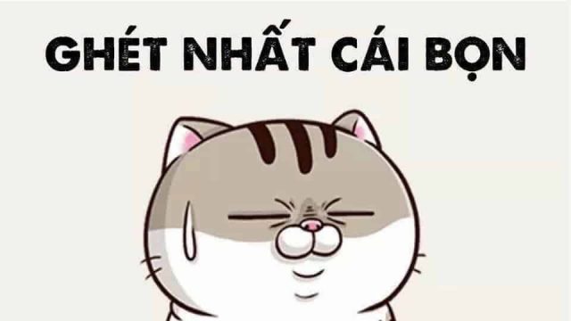 Dịch vụ đòi nợ nhanh tại Huyện Bình Lục