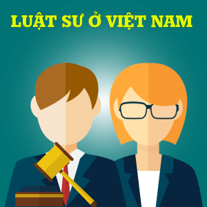 Luật sư tư vấn pháp luật hình sự tại Huyện Đình Lập