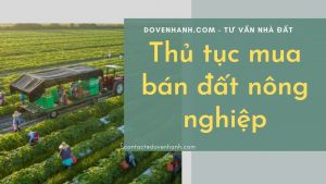 Thủ tục mua bán đất nông nghiệp