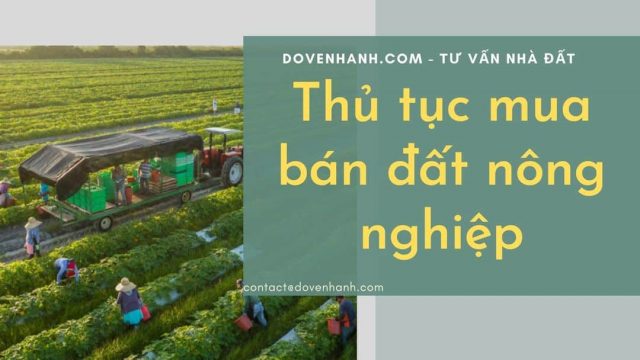 Tư vấn thủ tục mua bán đất nông nghiệp?