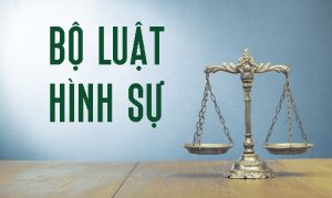 Luật sư tư vấn pháp luật hình sự tại Bát Xát