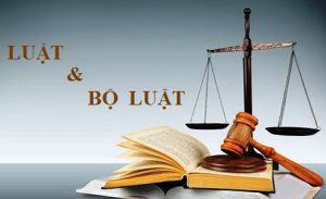 Văn phòng luật sư tư vấn pháp luật hình sự tại Thành Phố Việt Trì