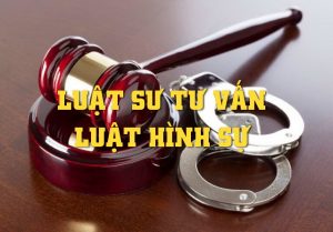 Luật sư tư vấn pháp luật hình sự tại Hòa Bình