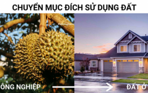 Thủ tục chuyển đổi đất nông nghiệp sang đất ở tại Thành Phố Hải Dương