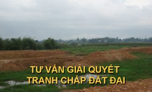 Tư vấn tranh chấp đất đai tại Cẩm Giàng