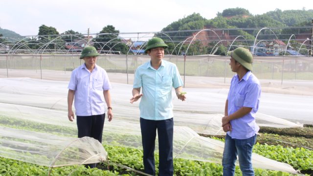 Tư vấn thủ tục thành lập hợp tác xã tại Hoài Đức