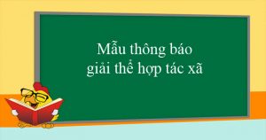 Tư vấn thủ tục giải thể hợp tác xã tại Cầu Giấy