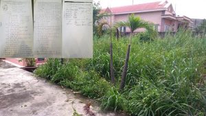 Thủ tục quy trình chuyển đổi đất nông nghiệp sang đất ở tại Kim Thành