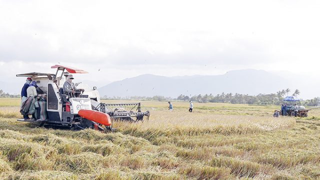 Trình tự thủ tục thành lập hợp tác xã tại Huyện Ninh Giang