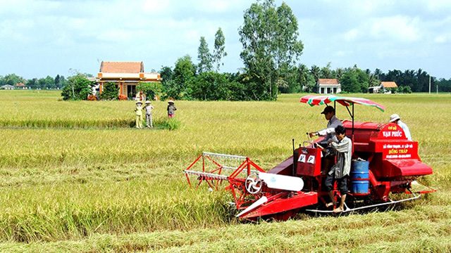 Tư vấn thủ tục thành lập hợp tác xã tại Huyện Thanh Miện