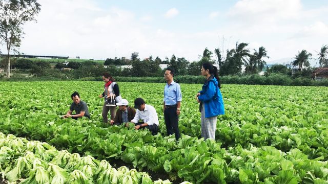 Trình tự thủ tục thành lập hợp tác xã tại Huyện Vĩnh Bảo