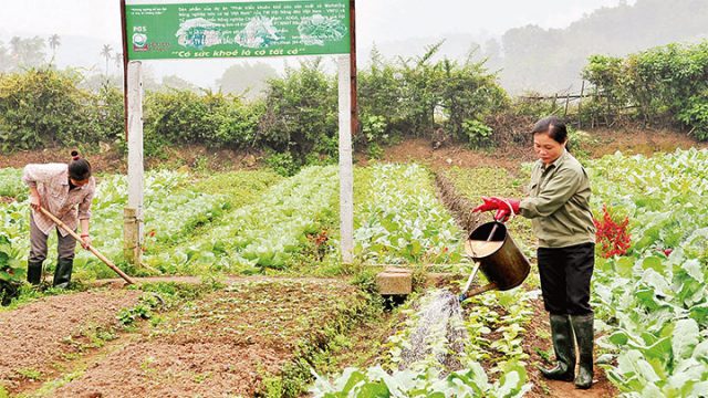 Tư vấn thủ tục thành lập hợp tác xã tại Yên Phong