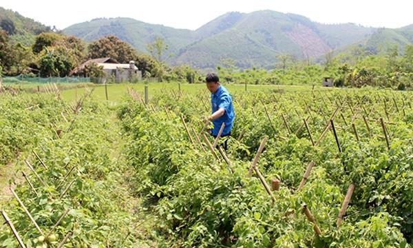 Trình tự thủ tục thành lập hợp tác xã tại Yên Phong